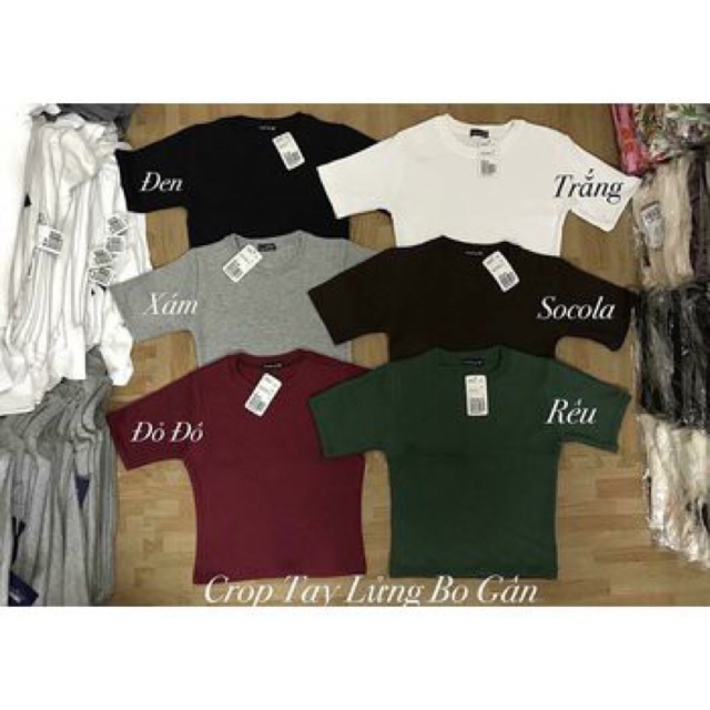 Áo croptop tay lửng gân y hình