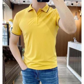 Áo phông nam có cổ ml88