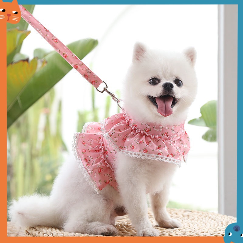 Dây Dắt Thú Cưng Đi Dạo Họa Tiết Hoa Xinh Xắn
