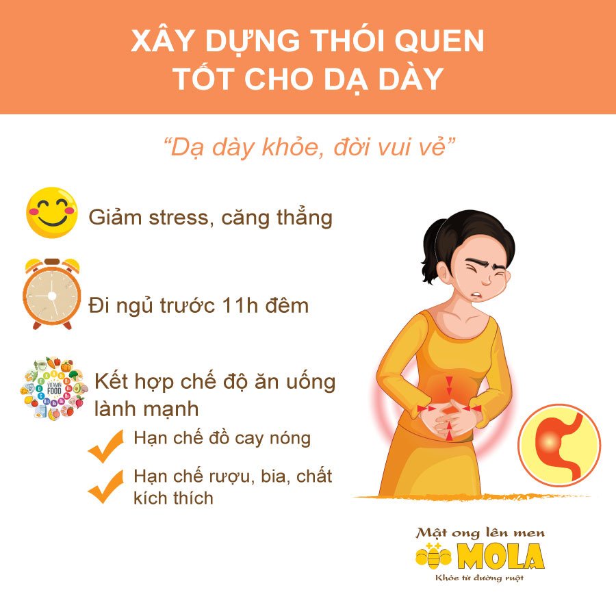 Mật ong lên men MOLA Dạ Dày 330Ml