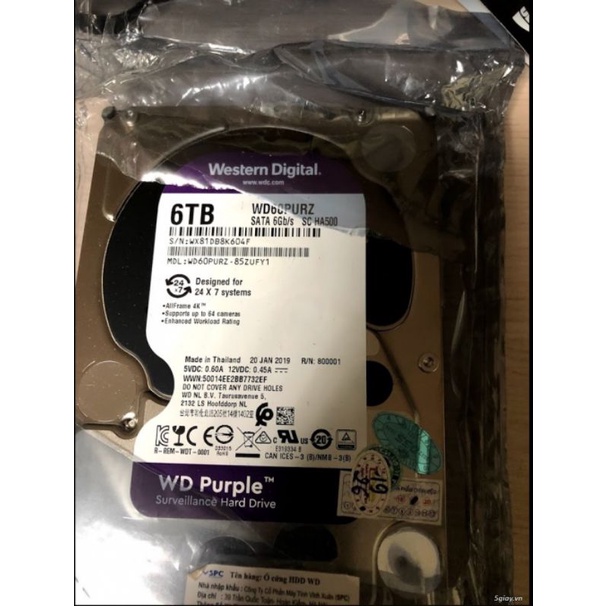 ổ cứng hhd 6tb western digital | BigBuy360 - bigbuy360.vn