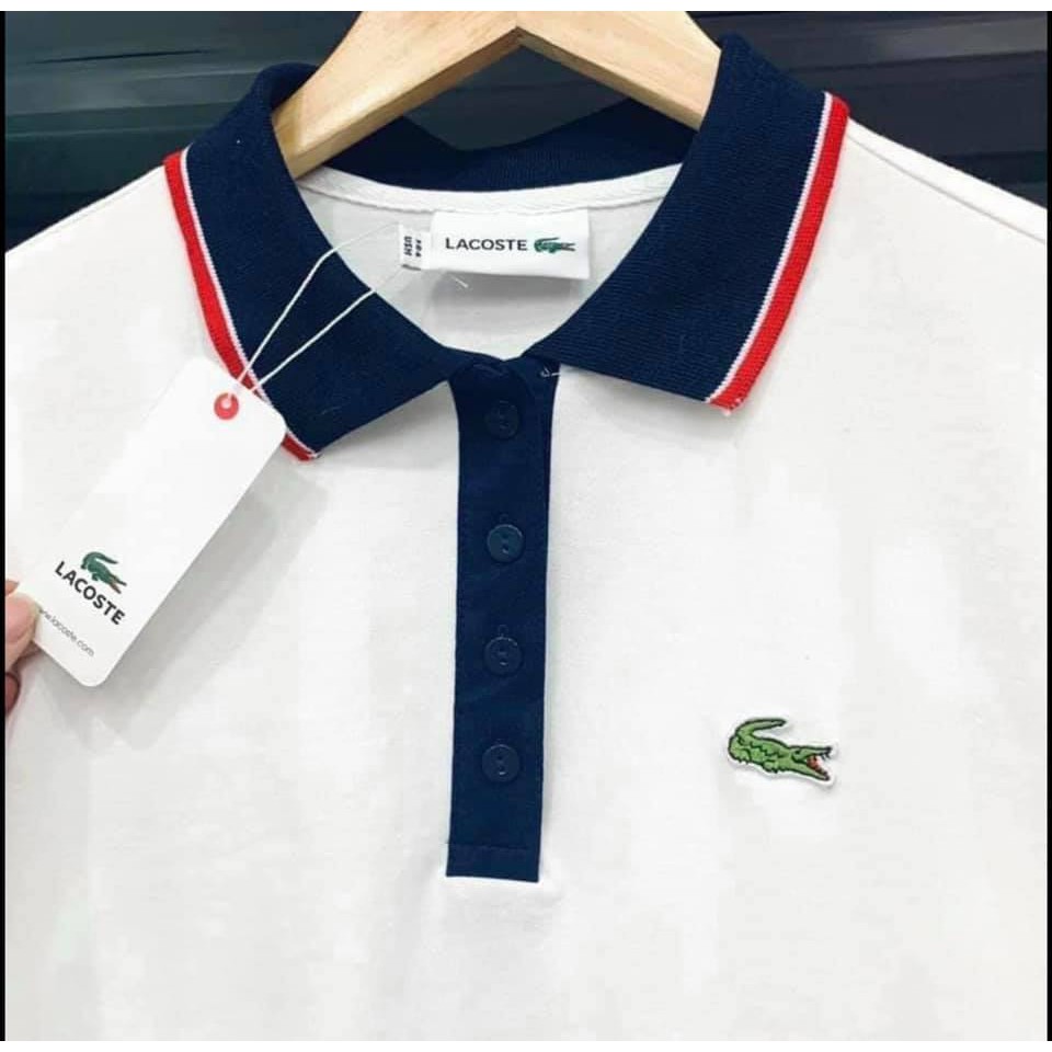 ÁO POLO CÁ S.ẤU SIÊU HOT | BigBuy360 - bigbuy360.vn