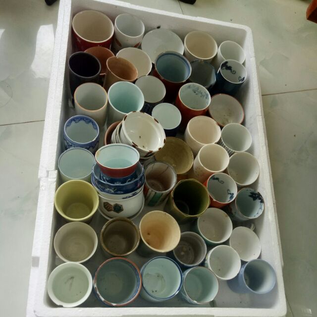 Chậu gốm sứ trồng sen đá