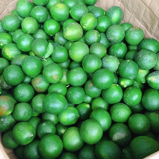 Chanh tươi ngon miền Tây 1kg