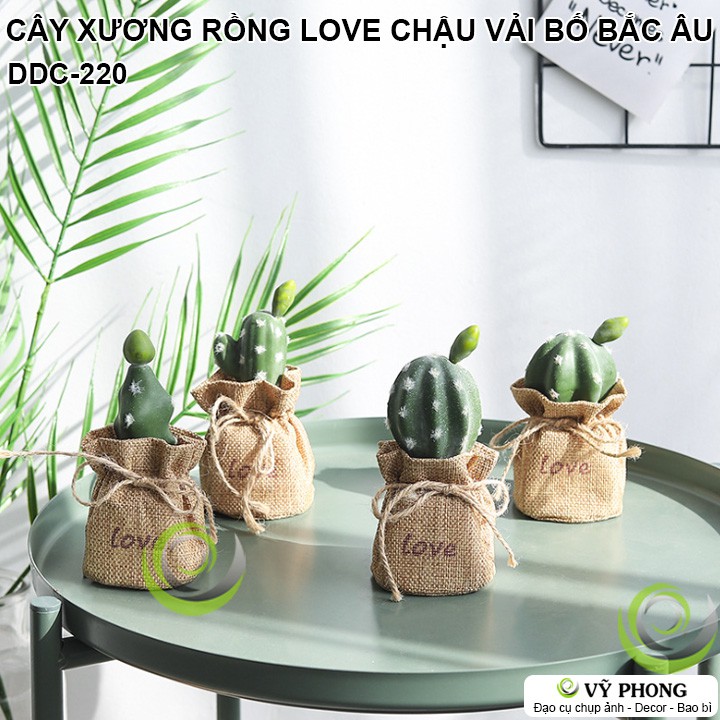 CÂY XƯƠNG RỒNG CHẬU VẢI BỐ CHẬU SEN ĐÁ MÔ PHỎNG NORDIC BẮC ÂU TRANG TRÍ DECOR ĐẠO CỤ CHỤP ẢNH SẢN PHẨM INS DDC-220