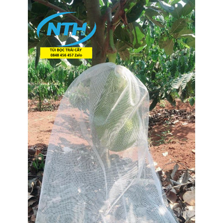 100 CÁI TÚI BAO ,BỌC MÍT THÁI LƯỚI TỐT KÍCH THƯỚC 50*70 -TÚI BAO,BỌC TRÁI CÂY