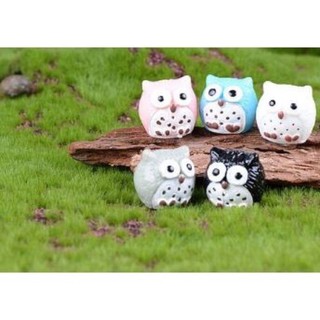 phụ kiện con cú mèo