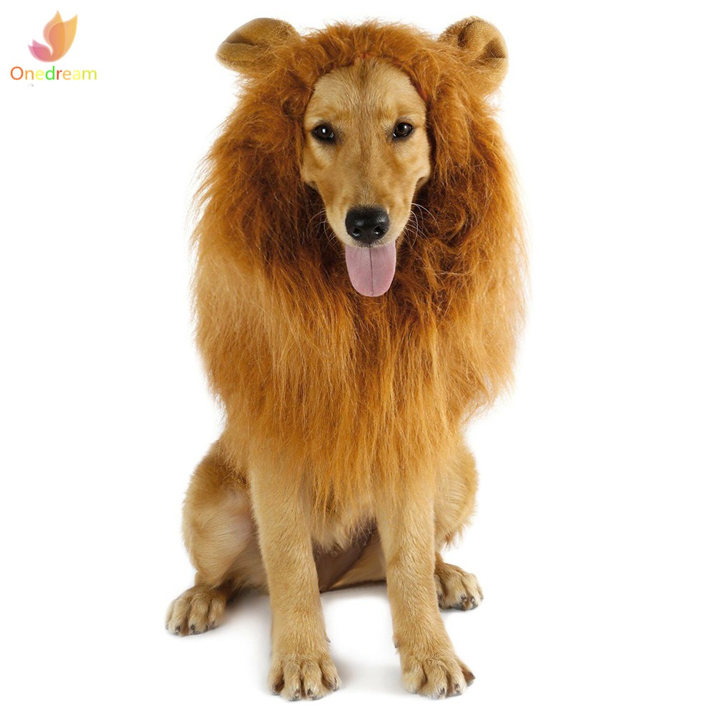 Bờm Sư Tử Giả Cho Thú Cưng