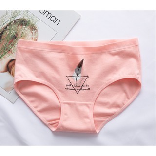 quần lót cotton dễ thương (combo 4 quần giảm giá)