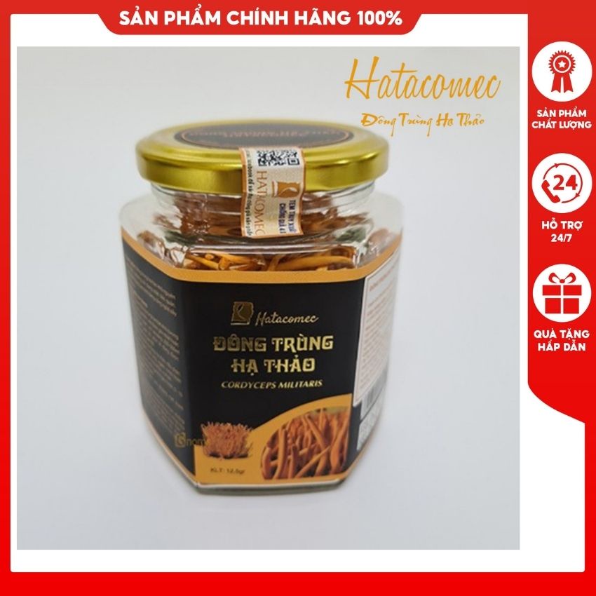 Đông Trùng Hạ Thảo Viện Công Nghệ Sinh Học Đại Học Lâm Nghiệp Hatacomec Quả Thể Khô Sấy Thăng Hoa 12.5g [HÀNG CAO CẤP]