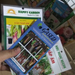 Hạt giống hoa nắp ấm 10 hạt