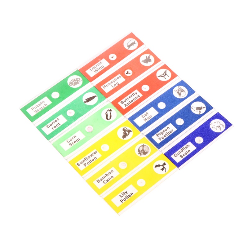 Set 12 Mẫu Vật Lý Kính Hiển Vi Cho Học Sinh