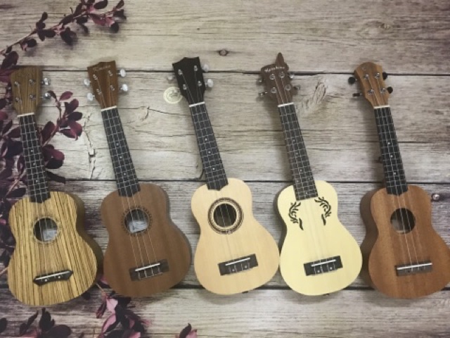 (ĐÀN SỊN) ĐÀN UKULELE CONCERT TỔNG HỢP CÁC MẪU ĐẸP