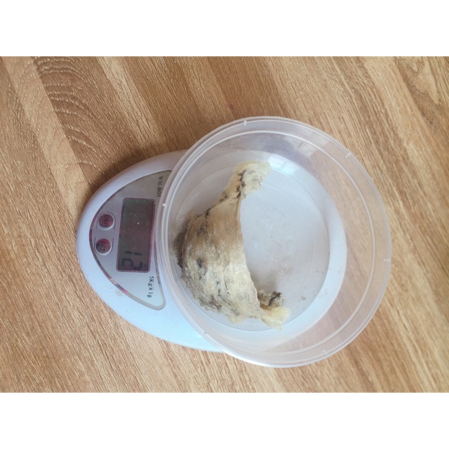 10gram yến thô nguyên tổ