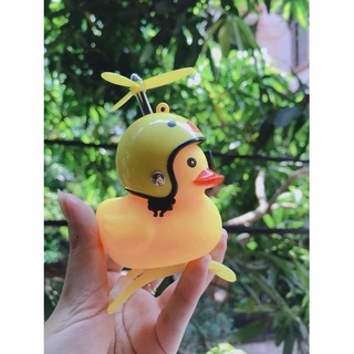 Coco-Vịt đội mũ bảo hiểm 2