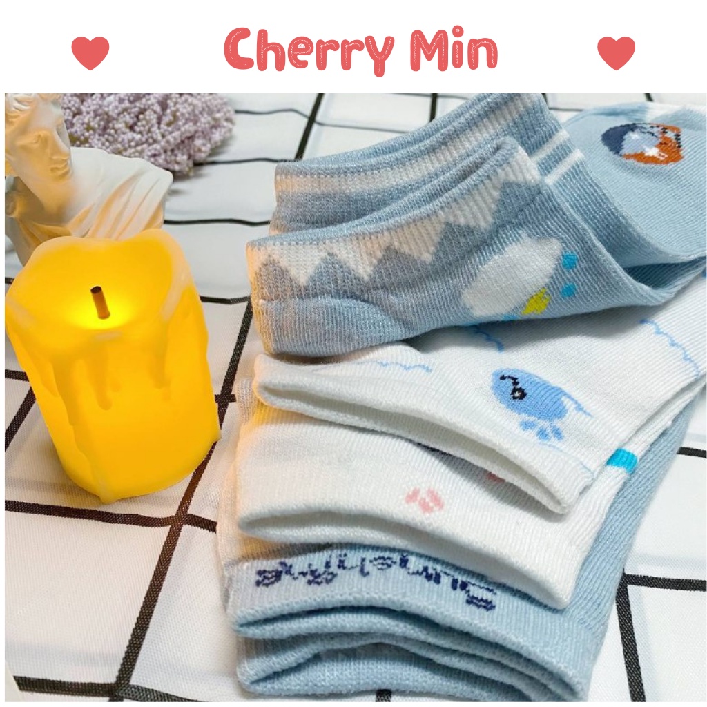 Combo túi 10 tất nữ cotton phong cách vintage CHERRY MIN