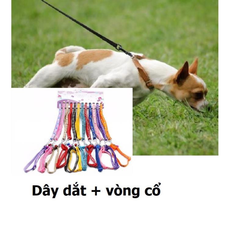 Hanpet.GV- 280- Dây dắt vòng cổ (chó 5- 7kg) dây dắt chó kèm vòng cổ màu x ngẫu nhiên