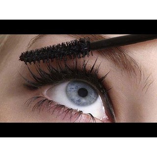 Mascara DHC Mascara Perfect Pro Double Protection 5g