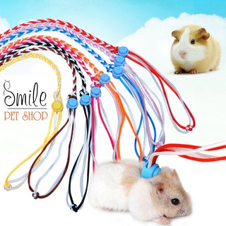 Dây dắt hamster , thỏ, bọ ú - Phụ kiện hamster - Smile Pet Shop