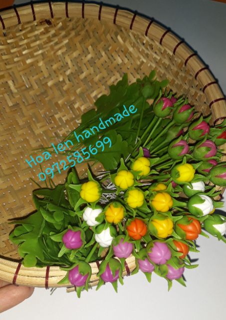 10 nụ hoa sao nhái /nhụy sao nhái
