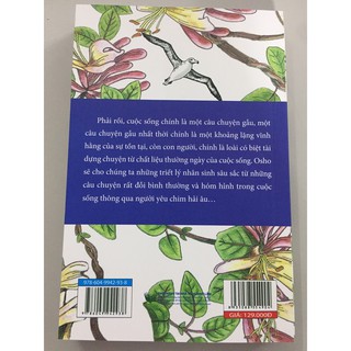 Người Yêu Chim Hải Âu