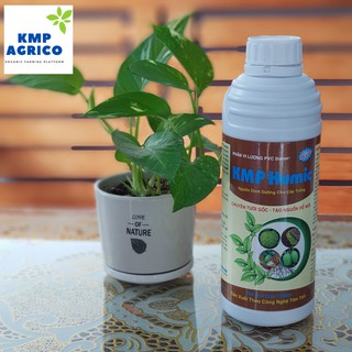 Phân Vi Lượng PVC Boron+ (KMP Humic) Bón Rễ Chai 1 Lít