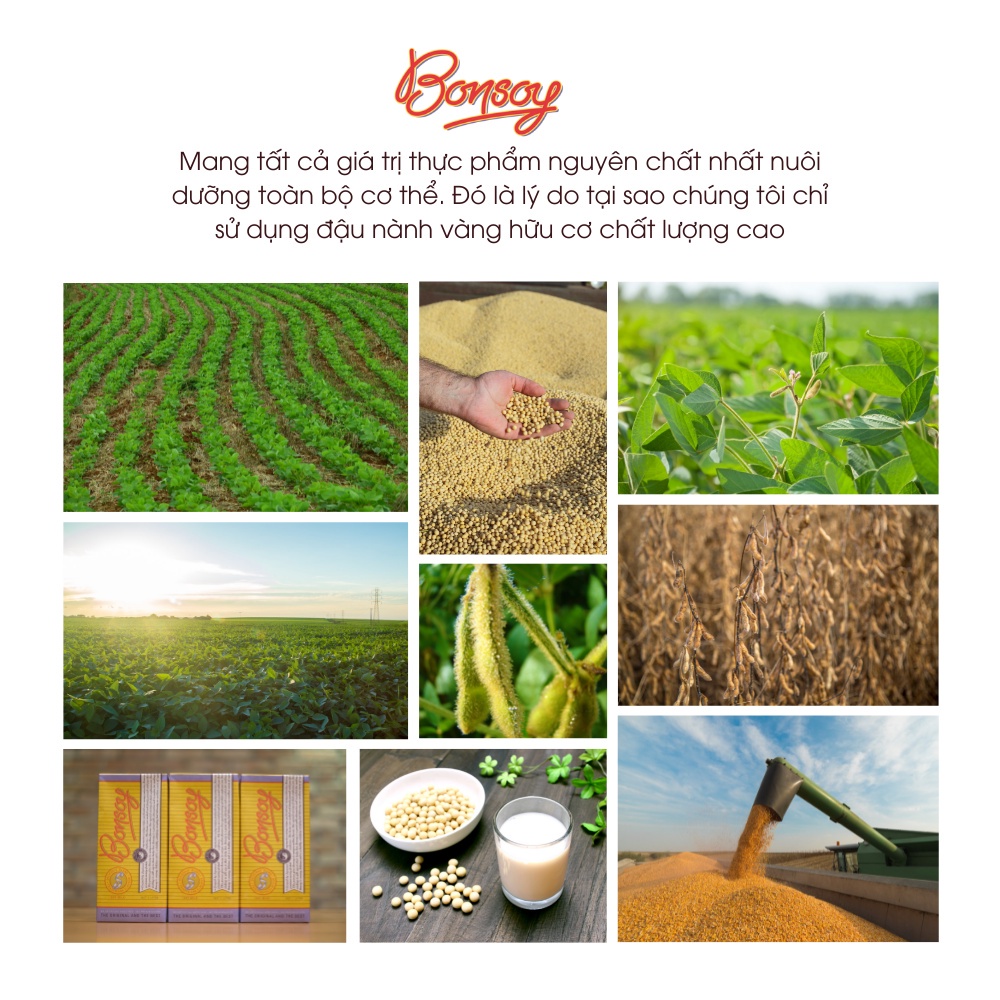 BONSOY Úc - Sữa Đậu Nành Hữu Cơ - Nhập Khẩu - Nguyên Liệu Pha Chế - Latte - Trà Sữa - Thay Sữa Bò