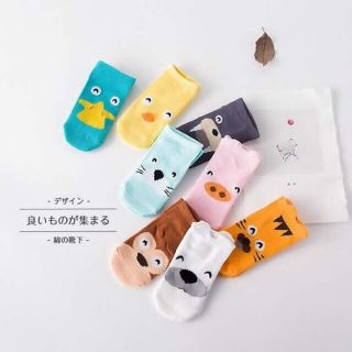 Tất pony kid