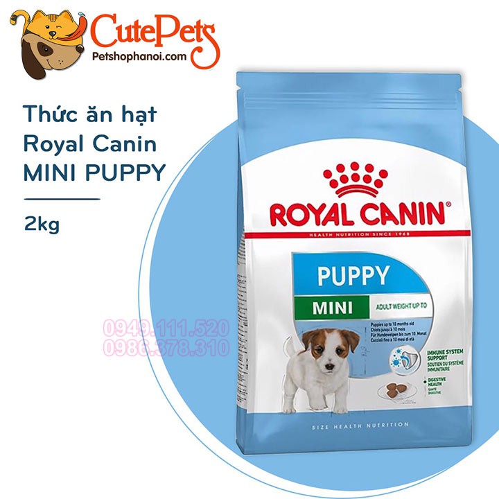 Thức ăn cho chó con Royal Canin Mini Puppy 2Kg - CutePets Phụ kiện chó mèo Pet shop Hà Nội