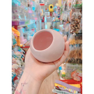 Nhà sứ tròn dành cho hamster