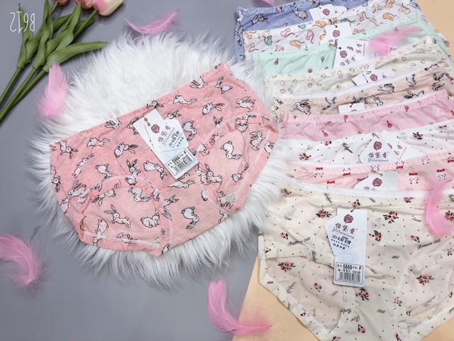 QUẦN LÓT SU ĐIỀU HÒA