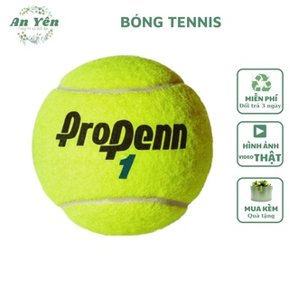 Bóng tennis banh tenis cũ tập luyện cho chó thú cưng