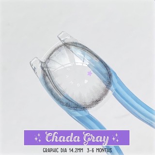 Kính Áp Tròng CHADA GRAY - BROWN ( contact lens )