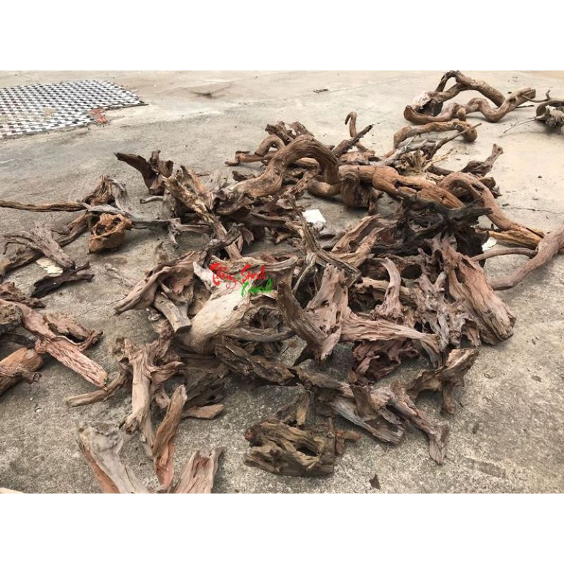 Cành củi khô trang trí bể cá