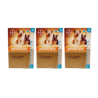 Chó mèo tuýp nhỏ gáy diệt kí sinh advocate 4-10kg