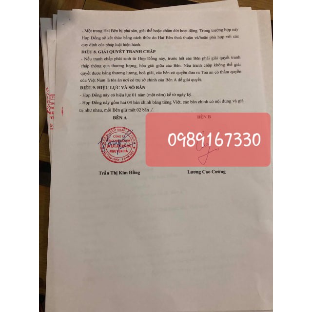 Hà thủ ô Phạm Gia gold 3+ | BigBuy360 - bigbuy360.vn