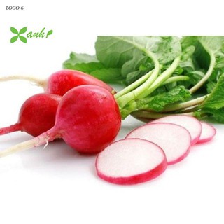 Gói 1g 50 hạt giống củ cải đỏ
