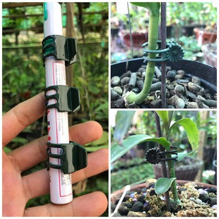 set 50 kẹp càng cua dùng cố định thân hoa phong lan & cây cảnh