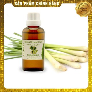 Túi đựng Tinh Dầu Massage