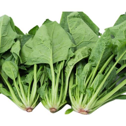 Gói 20 Gam Hạt Giống Cải Bó Xôi Chịu Nhiệt F1