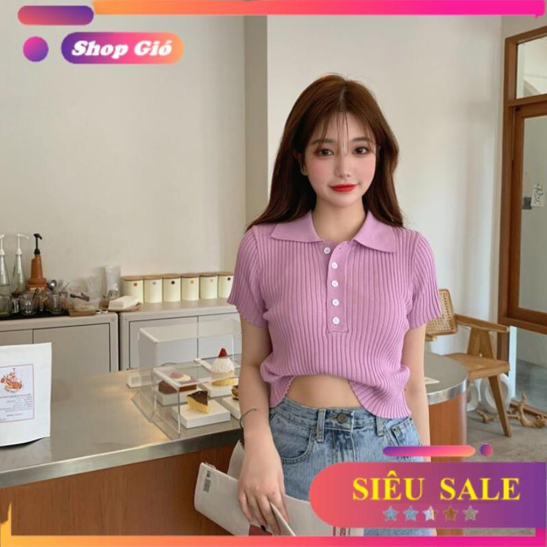 [SALE SOCK] áo thun polo tay ngắn dệt kim mẫu thiết kế mới hot nhất năm