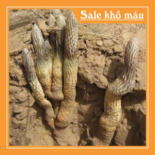 [HÀNG CHUẨN LOẠI 1] 100g Nhục Thung Dung