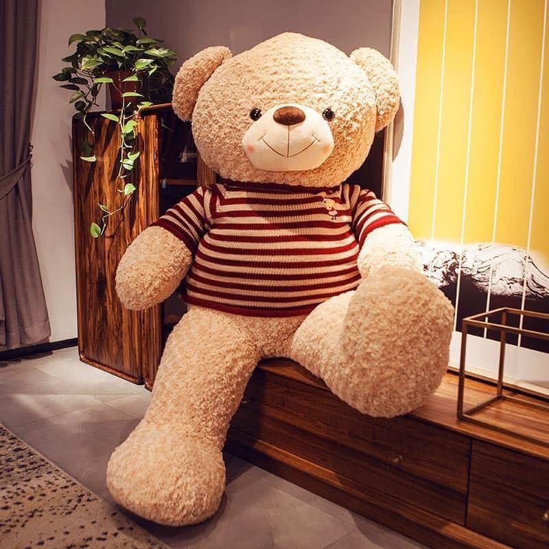 [Bán Chạy] Gấu bông cao cấp ❤️ Teddy socola kem ❤️ lông xoắn hoa hồng mịn FREESHIP FREE GÓI QUÀ