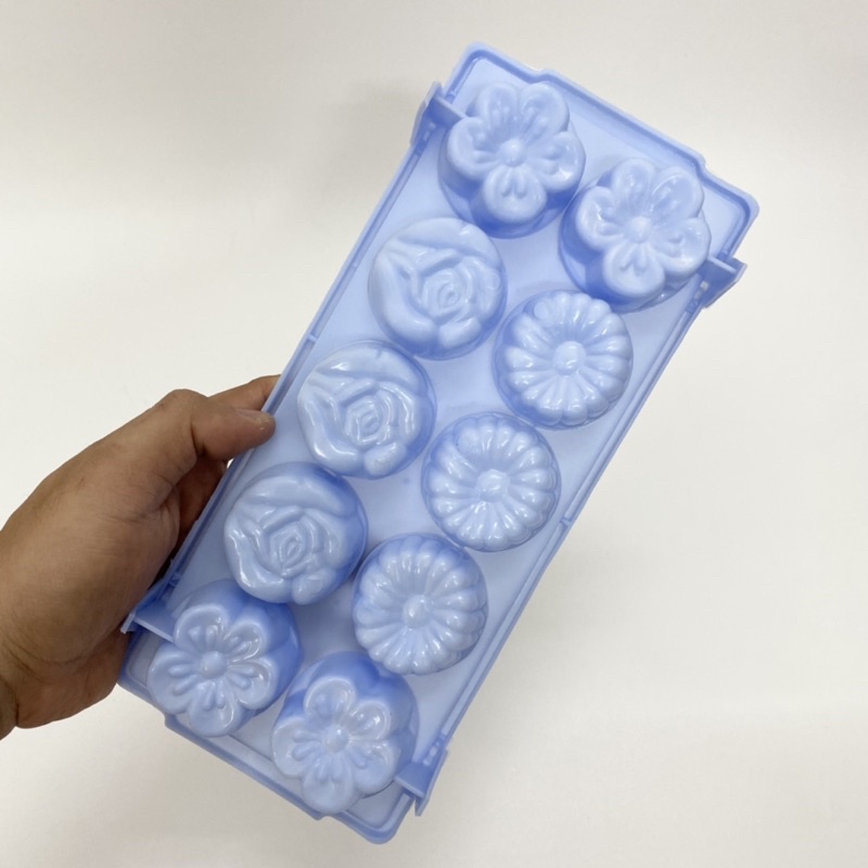 Khay Bông Làm Đá/Rau Câu 10 Viên Nhựa Vĩnh Trường