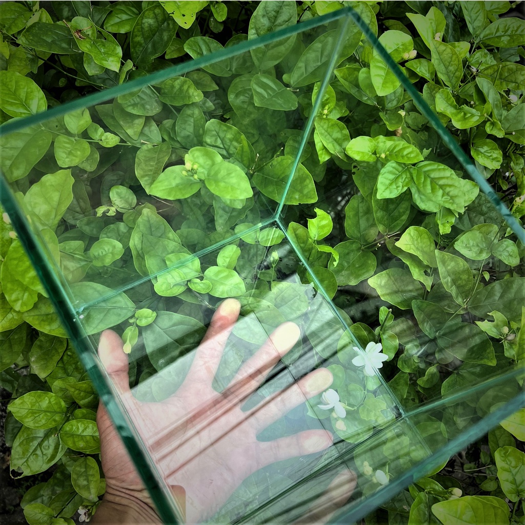 Hồ cá, bể cá cảnh thủy sinh ( D2O x R20x C20), tặng kèm phụ kiện CÂY &amp; ĐÁ