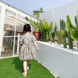 Đầm Bé Gái In Hoa Phối Ren
