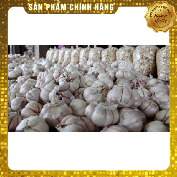 PHÂN BÓN CHUYÊN CHO HÀNH, KIỆU, TỎI⚡️HÀNG CHÍNH HÃNG, GÓI NHỎ GIÁ TỐT⚡️TO CỦ, NẶNG CÂN, CỨNG DỌC, NGĂN VÀNG LÁ, TÓPĐẦU 2