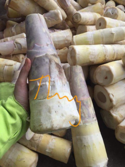 Măng mầm khô sạch non ngon đặc sản tây bắc 100% Không hoá chất