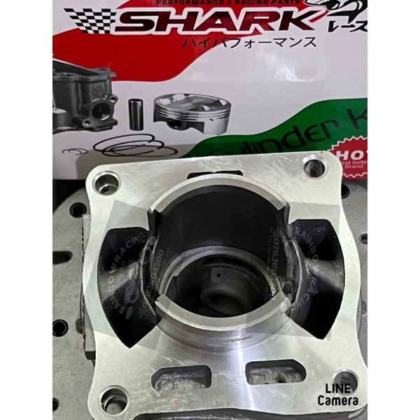 LÒNG SHARK YAZ luôn PITONG loại 2