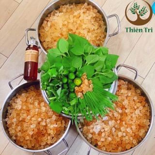 Siro Thiên Tri 500ml - Trị ho sổ mũi không dùng kháng sinh